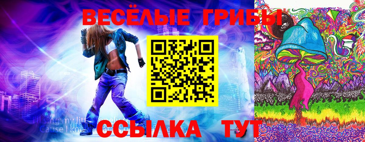 Черемхово  что такое   Галлюциногенные грибы MAGIC MUSHROOMS  Вход с VPN  Галлюциногенные грибы Psilocybe 